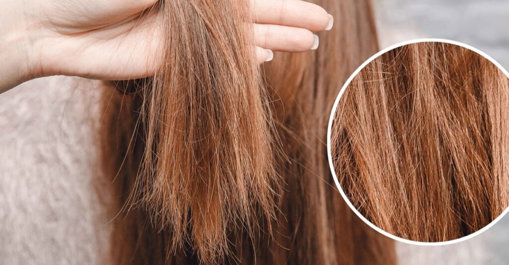 Các chuyên gia cho biết phần tóc đã chẻ ngọn không thể tự hàn gắn hoàn toàn dù sử dụng nhiều sản phẩm dưỡng tóc.